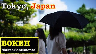 Bokeh 4k Photowalk At Asakusa In Tokyo Sunday Afternoon