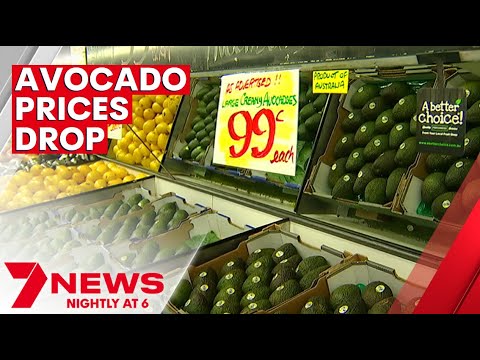 Oversupply of avocados sees prices drop to 99 cents in Queensland | 7NEWS
