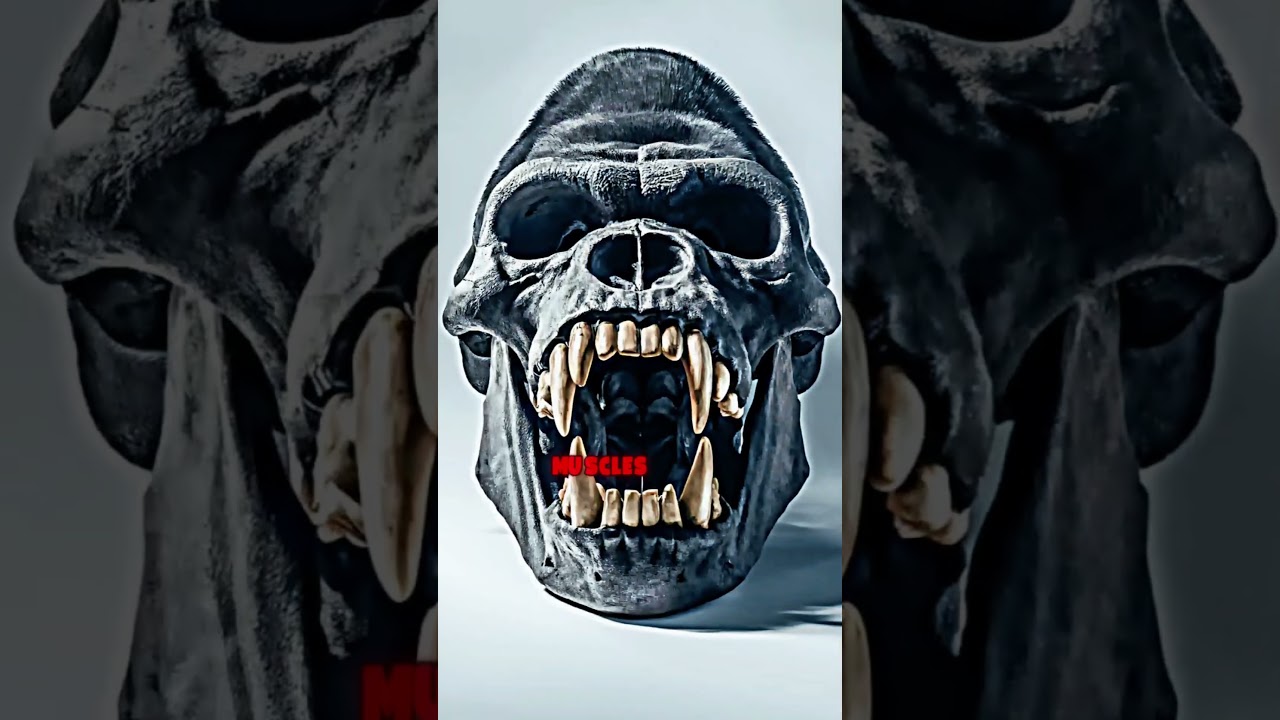 The Monster Bondo Ape