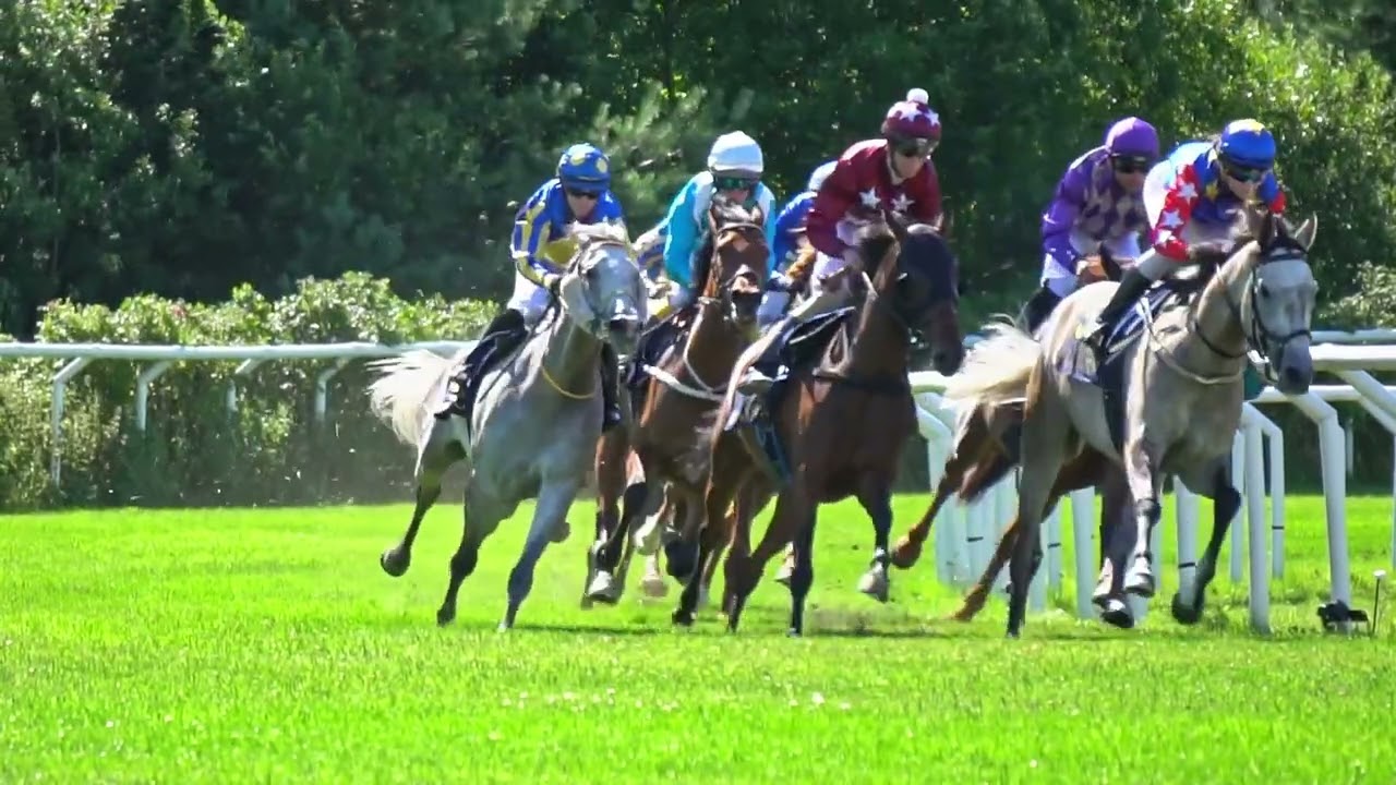 Göteborg Galopp, 27.07.2022, Lopp 8, 1200 gr ARABHÄSTLÖPNING