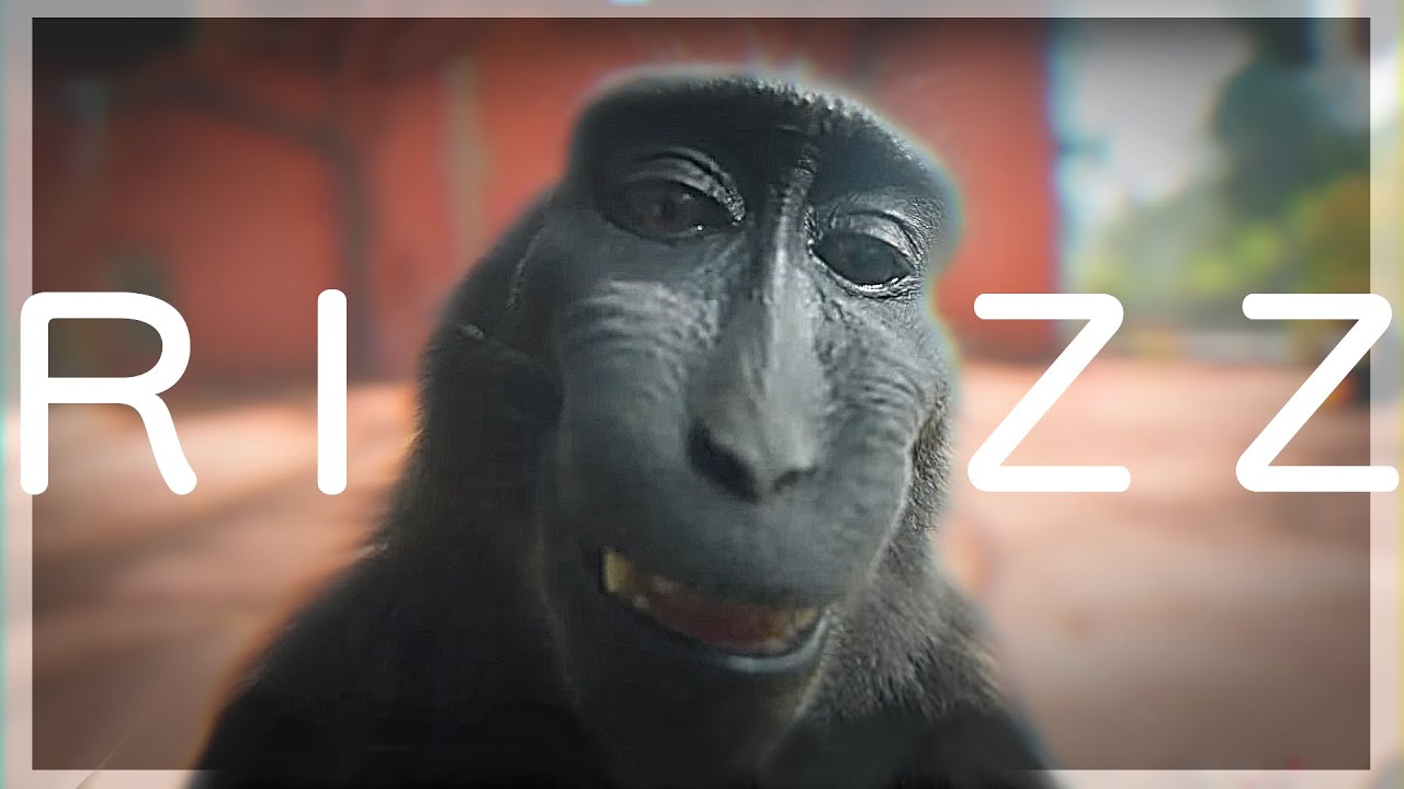 Monkey RIZZ 🙊「EDIT」 