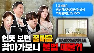 하룻밤 새 월세가 2배? 😖 불법부동산 구별법·대처법, 계약 시 꿀팁까지 다 알려줄게!(중개대상물 표시·광고 위반유형)