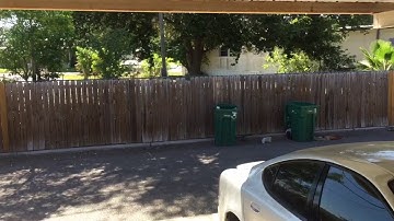 Nollie flip Noseslide big spin out!