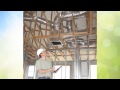 Green building hawaii  commercial consulting