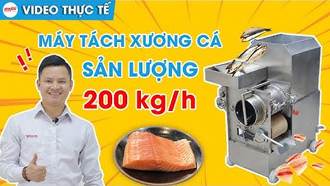[Video Thực Tế] Máy Tách Xương Cá NEWSUN Sản Lượng 200kg/h - Đạt Tỷ Lệ 95% I Điện Máy NEWSUN