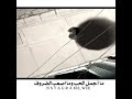 لم تطل شوفك يوم بالاهات بنسى النوم