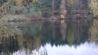 2012110401 Krzyk Ciszy