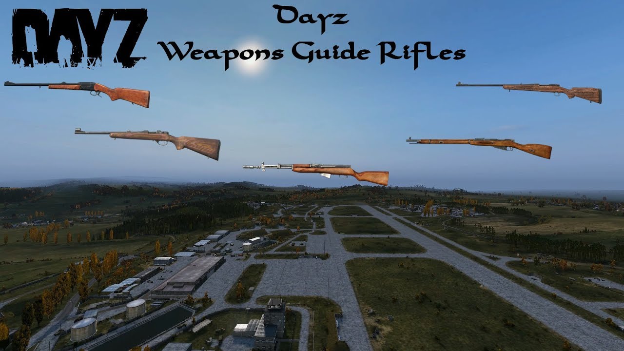 Dayz gun