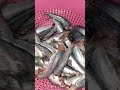 تقاسمت معاكم  ديال وليداتي آش رأيكم في أنا كافرة بالله 0649095261