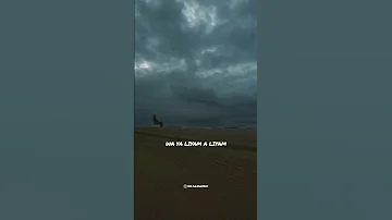 𝑝𝑎𝑢𝑠𝑒 𝑓𝑙𝑜𝑤 𝑙𝑖𝑦𝑎𝑚 