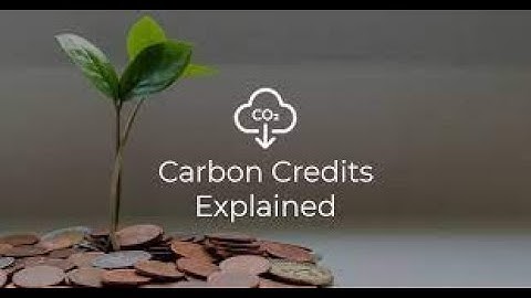 Understanding Carbon Credits - Explained in 2 Minutes
