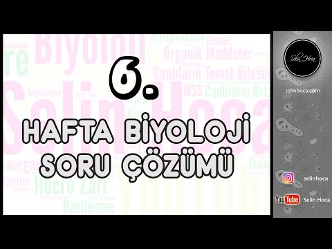 6. Hafta Biyoloji Soru Çözümü