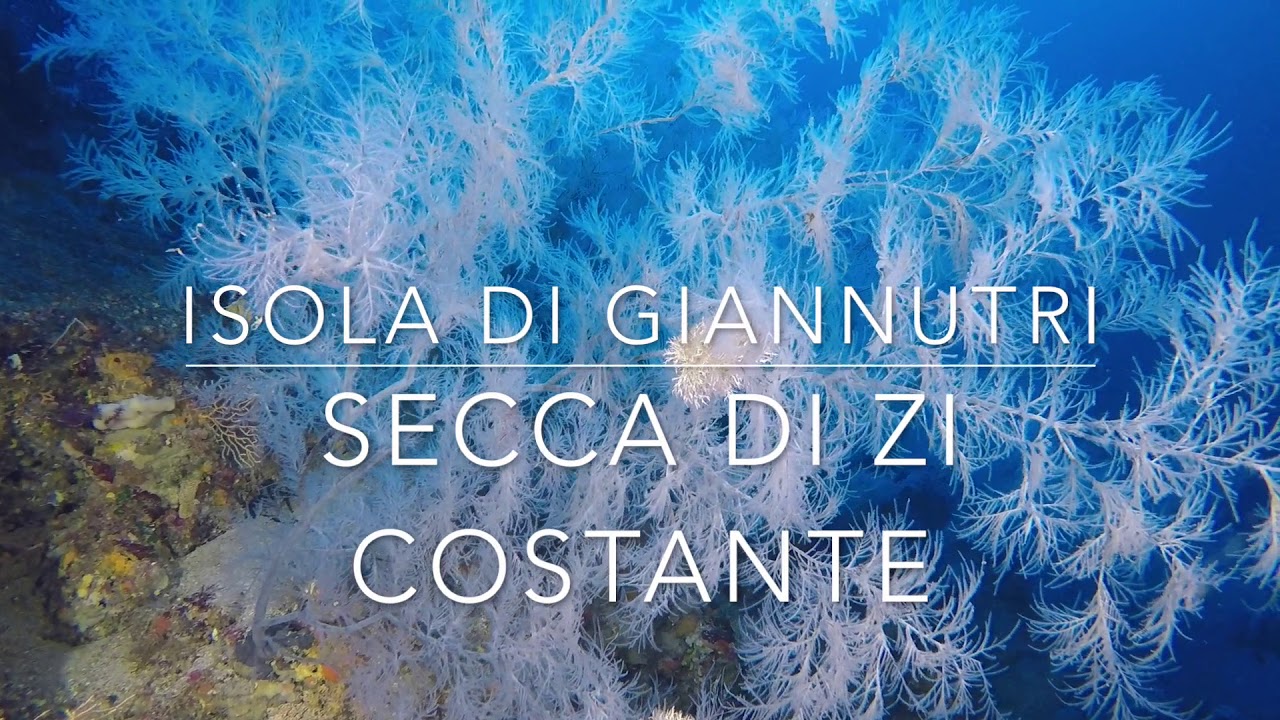 Argentario DIvers   settembre 2017