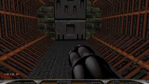 Duke Nukem 3D: Realms of Grune Secret Level Part 3