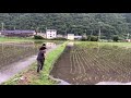 田んぼのハプニング