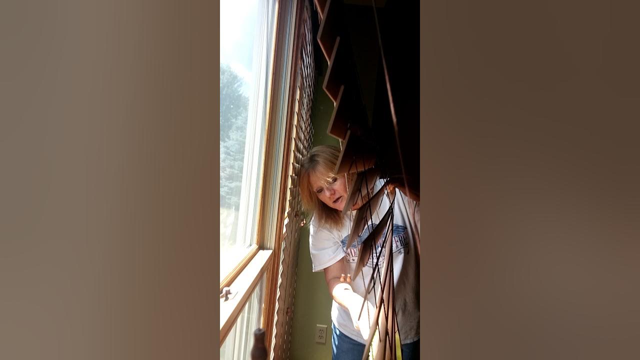 Norwex Dusting Wand Demo 🏡💚💙 YouTube