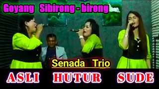 SENADA TRIO - SIBIRONG BIRONG || LAGU BATAK TERBARU 2021