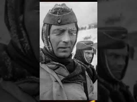 Мнение современных немцев
