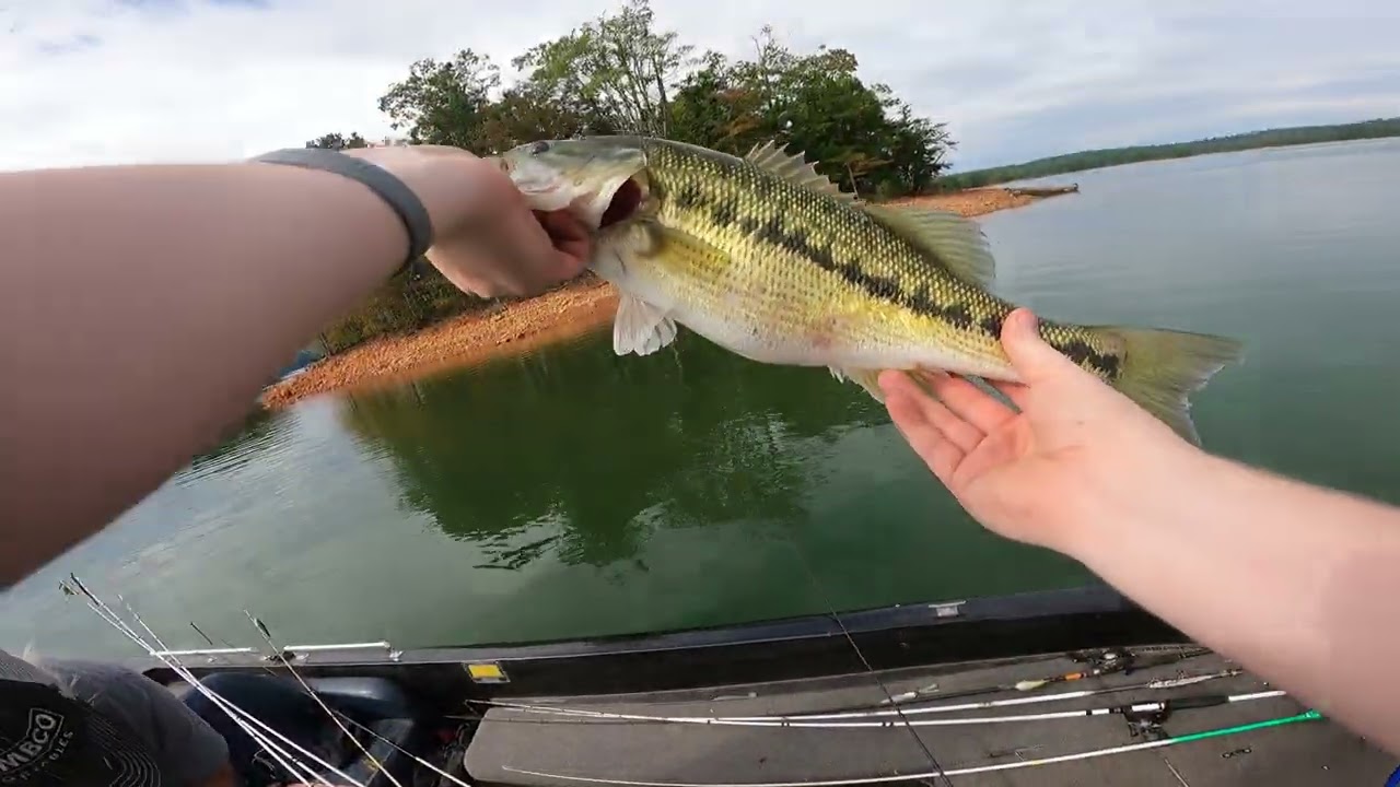Fall Time BIG BASS Fishing! (BIG BASS RESULTS)!