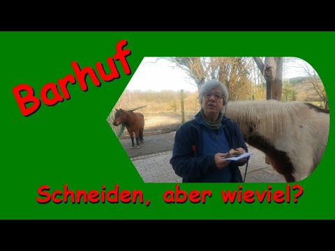 Video: Was tun und was tun, um ein Pferd zu trimmen?