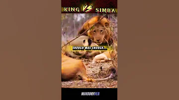 Mufasa Vs Simba 