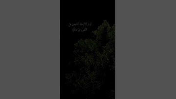 أكتب شيء تؤجر عليه . #قرآن #سورة مريم #عبدالرحمن_مسعد