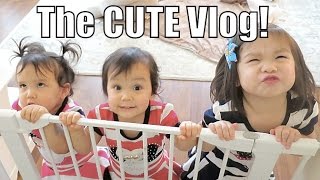 The CUTE Vlog! - January 29, 2016- ItsJudysLife Vlogs