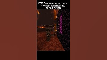 POV: your friends banished you to the nether #shorts #minecraft #nether #edit
