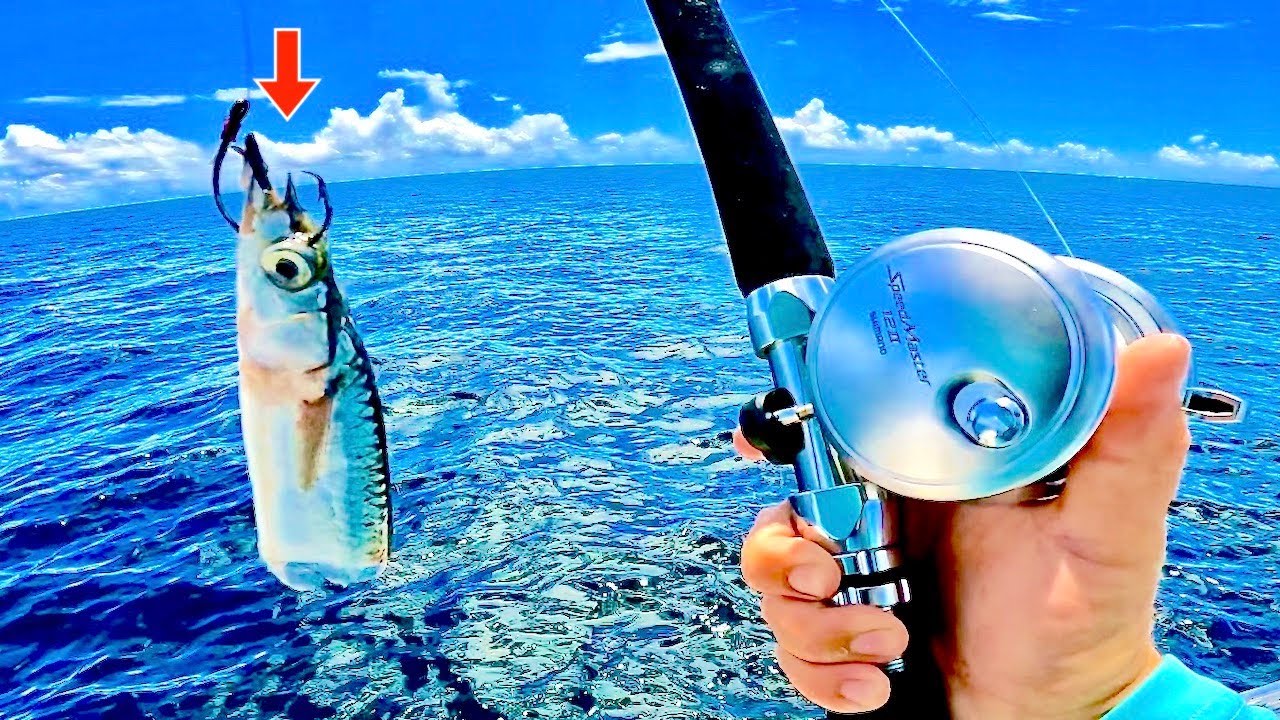 The Tube Fishing Trick Nobody Knows! This Really Is The Deal!! 