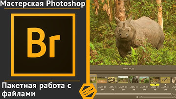 Курс «М.P.» Урок 7 -  Пакетная работа с файлами