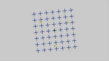 Motion Induced Blindness Illusion Explained with Animation