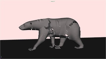 Polarbear Walk Cycle