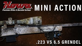 Howa Mini Action Rifle .223 Vs. 6.5 Grendel