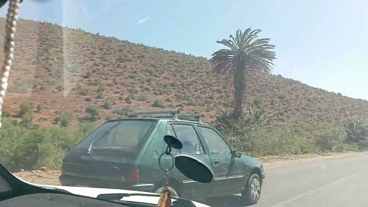 بن معاشو سيدي سعيد مول النخلة مول الجريد