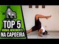 Capoeira, TOP 5 Animal movements EXERCISES 2019🦀🐊🐵🦍 (ENGLISH SUB)