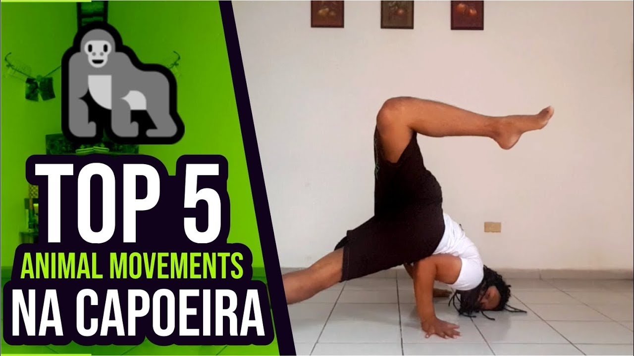 Capoeira, TOP 5 Animal movements EXERCISES 2019🦀🐊🐵🦍 (ENGLISH SUB) insta 360 one x nepal
