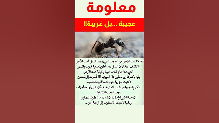 معلومات عجيبة و غريبة عن النمل و أسراره #ثقافة_عامة #معلومات #أسرار #النملة #النمل #حكم #علوم