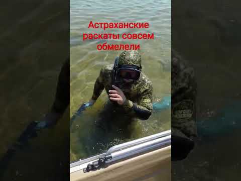Подводная охота в