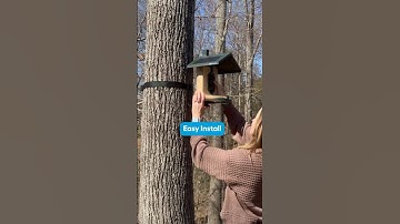 High-Tech Birdwatching with the FeatherSnap Smart Bird Feeder 🦜 #Shorts