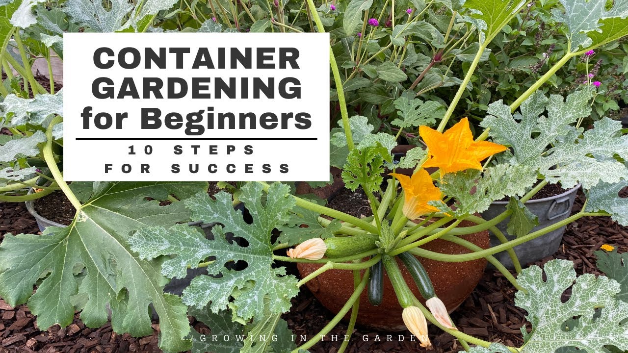 CONTAINER GARDENING for BEGINNERS 10 Simple Steps