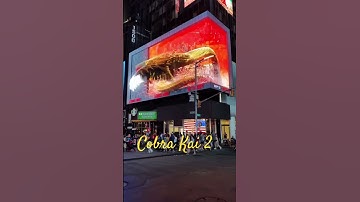 Cobra Kai 2 3D billboard