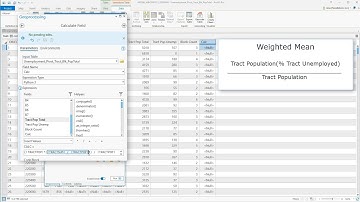 ArcGIS Pro: Field Calculator  & Mathematic Formulas
