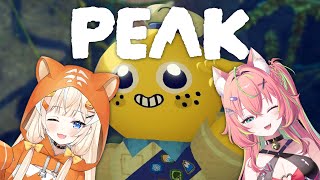 Shabel Tonyaの配信のサムネイル画像