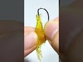 Tips for using shrimp for fishing #fishing #fishinglife