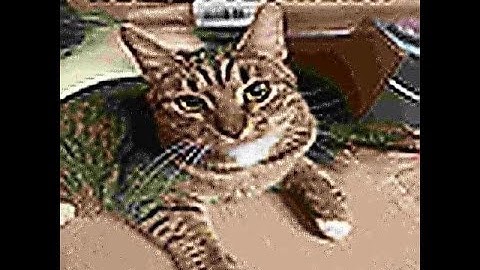 Rust Highlights #666 | By WixQ | backbackback