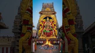 பூக்குழி 6ஆம் நாள் அலங்காரம் #tenkasi #vasudevanallur #Mariamman #Festival
