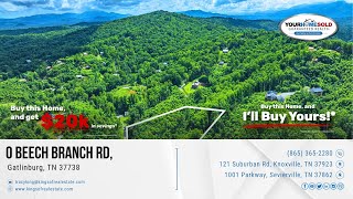 0 Beech Branch Rd Gatlinburg TN 37738 865-365-2280