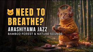 Relaxing Arashiyama Jazz 🐱 Bamboo Forest &amp; Nature Sounds