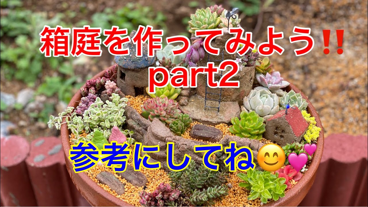 多肉植物寄せ植え かわいい箱庭を作ってみよう パート2 Youtube