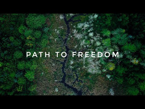 Path to Freedom - Michael FK (CINEMATIC MUSIC)